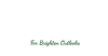 ASEEDER VOLUNTEER