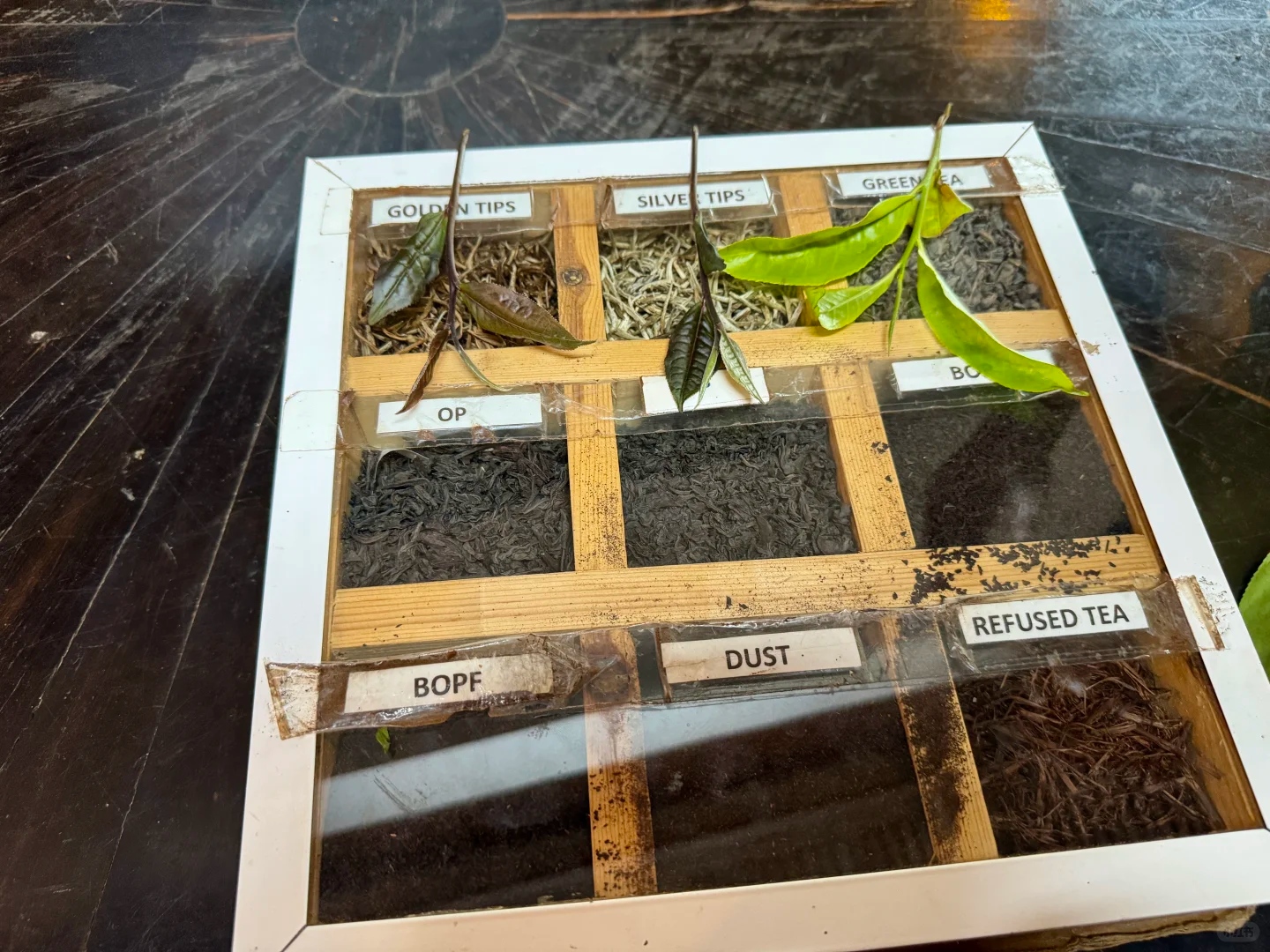 斯里兰卡锡兰红茶厂3